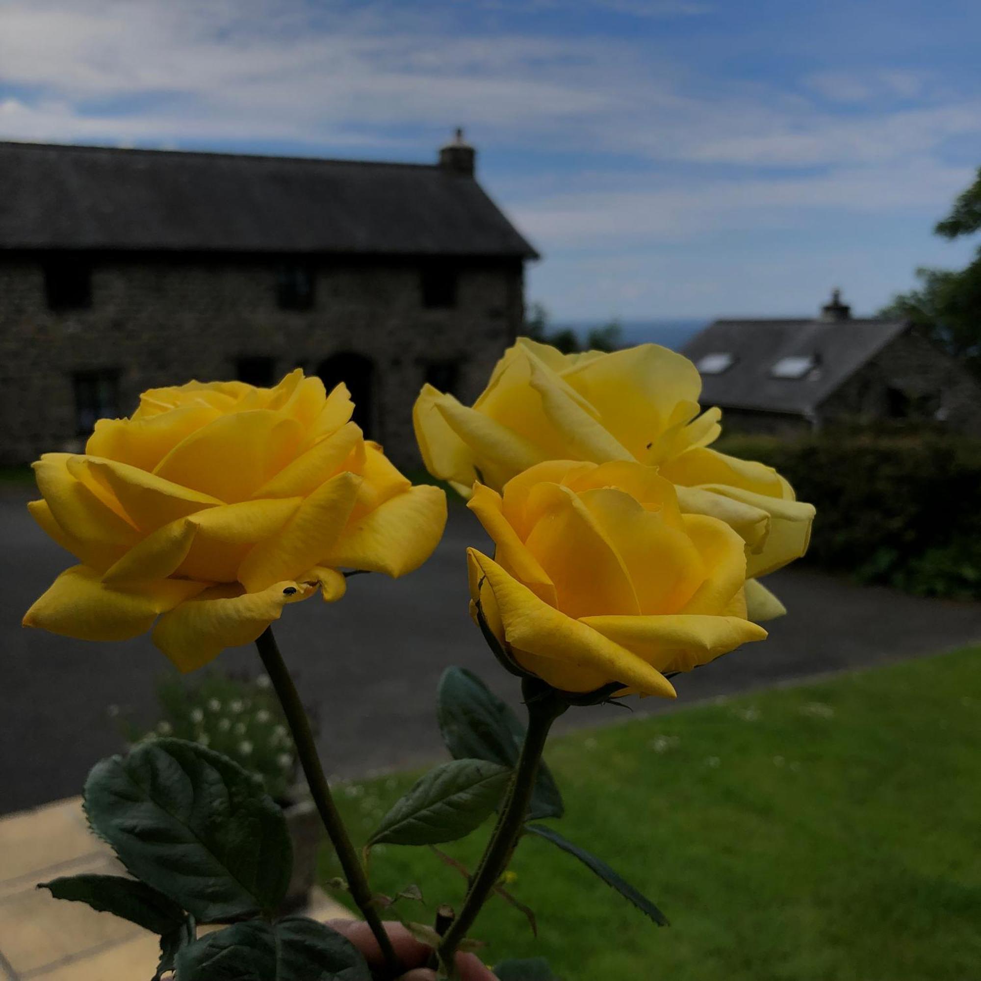 The Old Farmhouse B&B Dyffryn Ardudwy Экстерьер фото