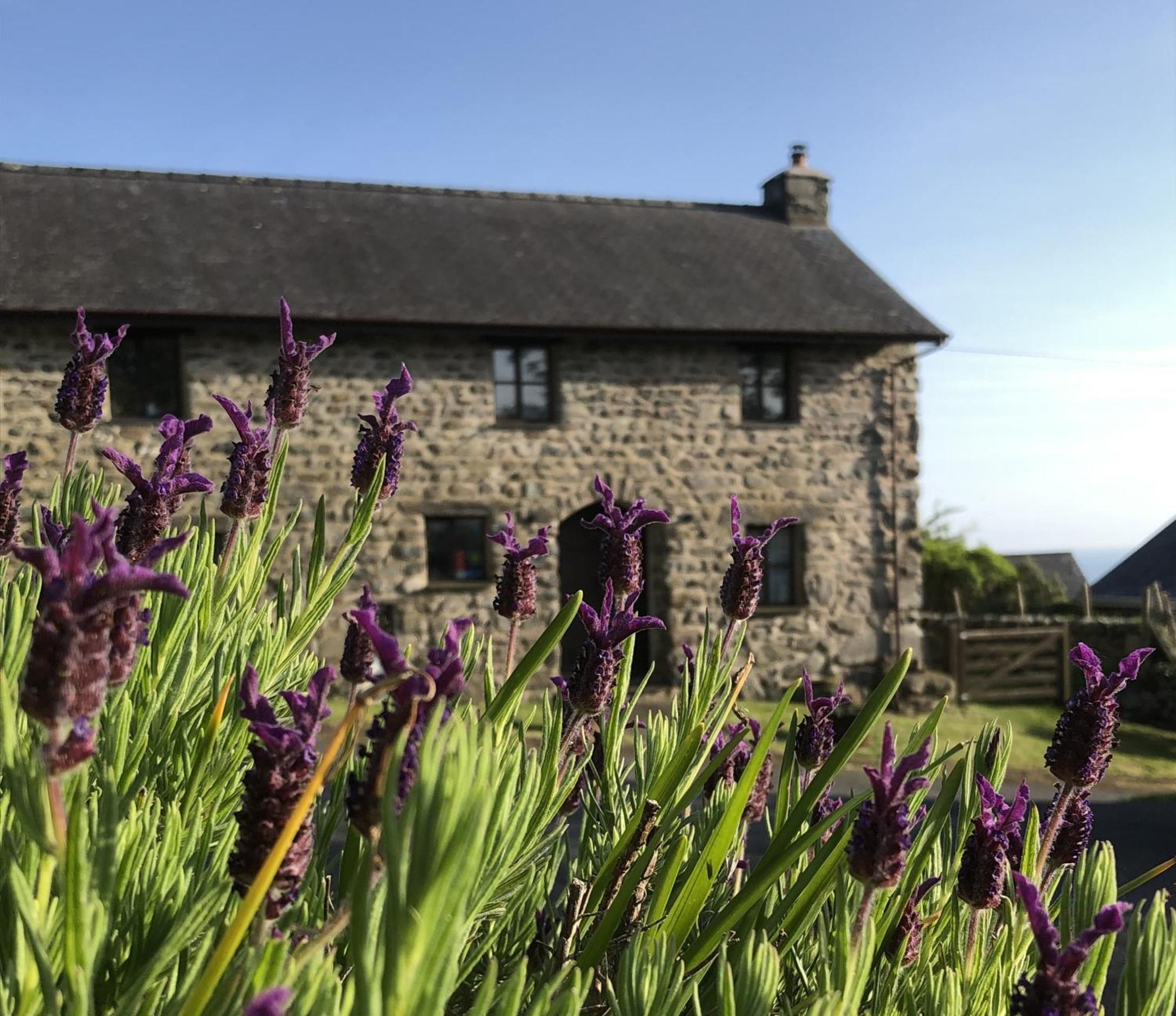 The Old Farmhouse B&B Dyffryn Ardudwy Экстерьер фото